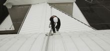 Securail Pro su tetto  freddo - Chessy, Francia